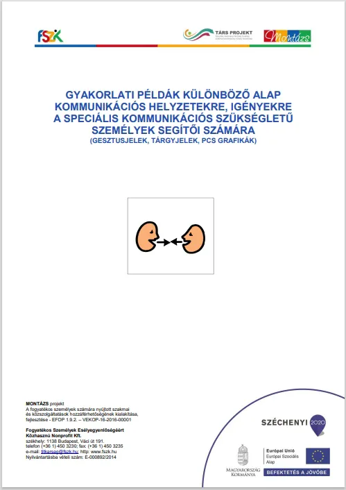 Borító_Gyakorlati-példák